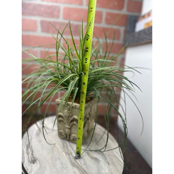 Faux Grass Plant Stone Concrete Look Pot 11.5 in Home Decor Accent - Picture 2 of 4